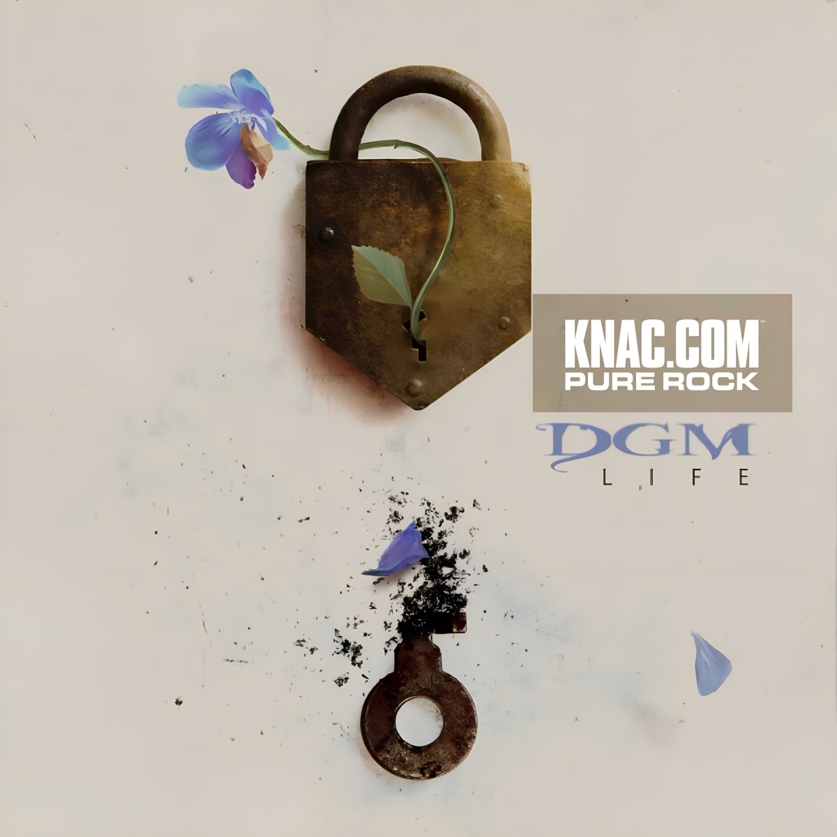 Review: DGM – Life&nbsp;(2023)